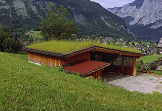 ZEBAU Zimmerei | Das Besondere: Carport mit Grasdach