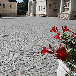 ZEBAU | Gartenbau und Pflasterungen